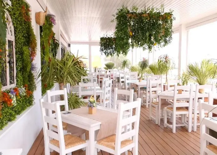 Lejlighed Fratelli Summerland Mamaia